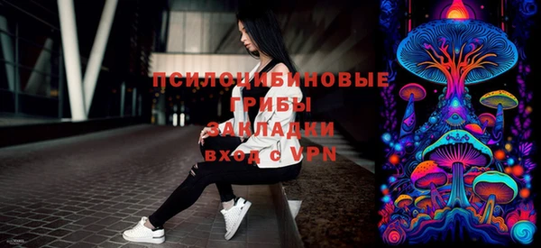 прущая мука Гусиноозёрск