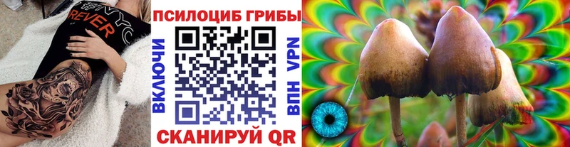 Псилоцибиновые грибы мухоморы  Купить где  Алексин 